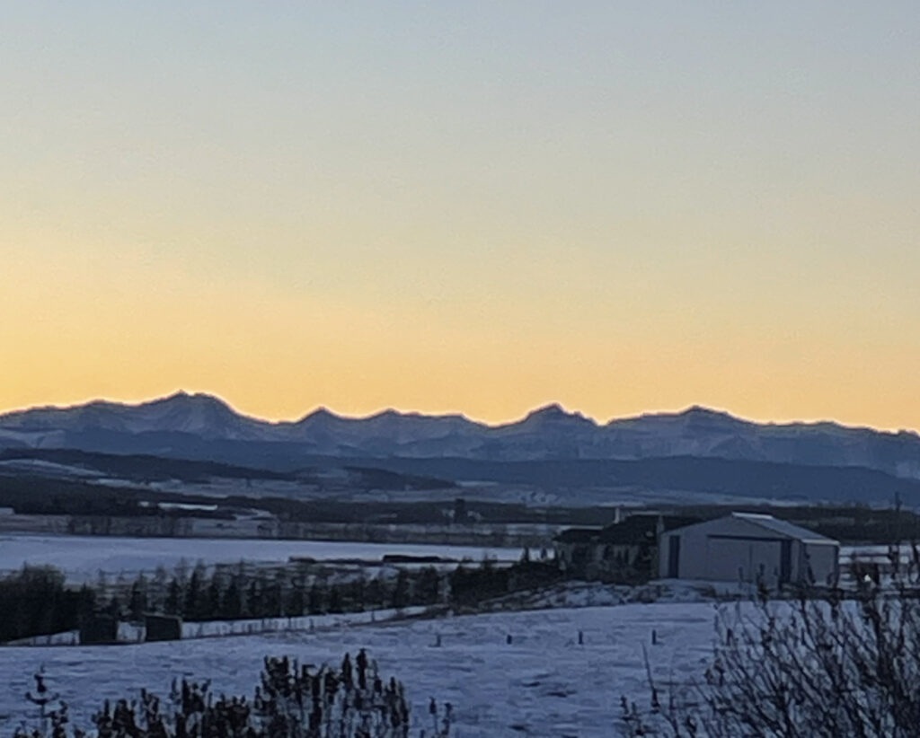 winterview